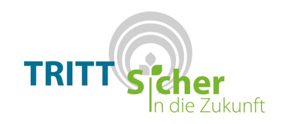 Logo der Initiative "Trittsicher in die Zukunft"